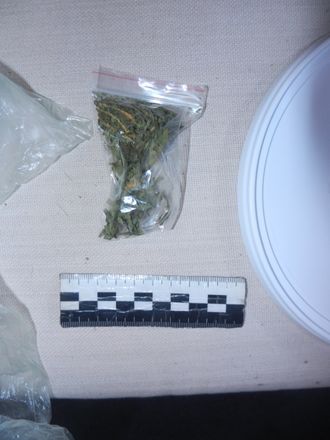 Почти 20 граммов каннабиса изъяли у дзержинского наркоторговца - фото 2