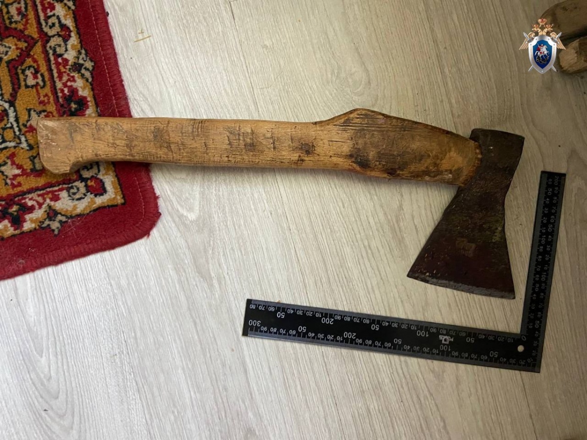 Нижегородец пытался убить знакомого ударом топора по голове - фото 1
