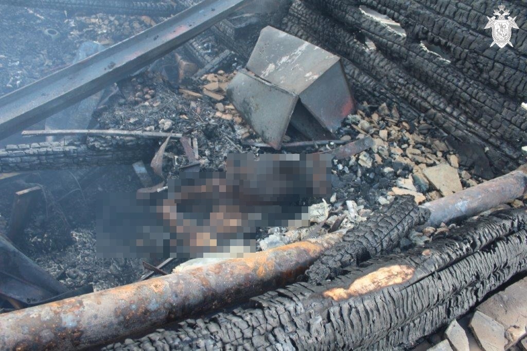 СК устанавливает причины гибели человека на пожаре в Ардатовском районе - фото 1