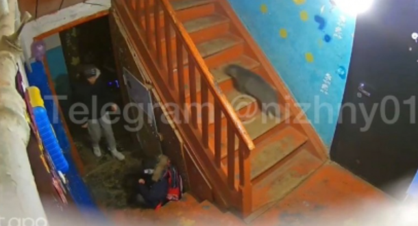 Нижегородский детский омбудсмен заявила, что будет разбираться в ситуации с избиением ребенка в Володарском районе - фото 1