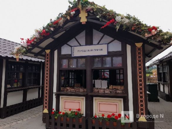 Выставка техники открылась в Нижнем Новгороде в рамках форума России и Беларуси - фото 8