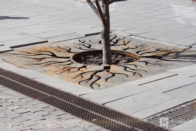Трещит по швам: как выглядит центр Нижнего Новгорода после аномальной зимы — фоторепортаж - фото 26