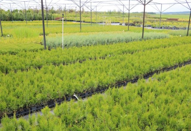 Бизнес-выезд с главными игроками рынка недвижимости состоится &laquo;Медвежьей поляне&raquo; - фото 7