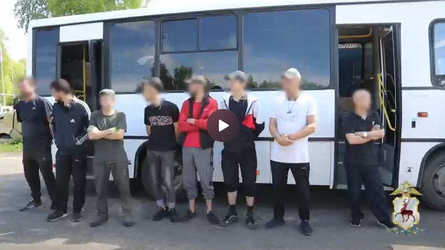 Мигрантов-нелегалов обнаружили на лесопилке в Нижегородской области - фото 1