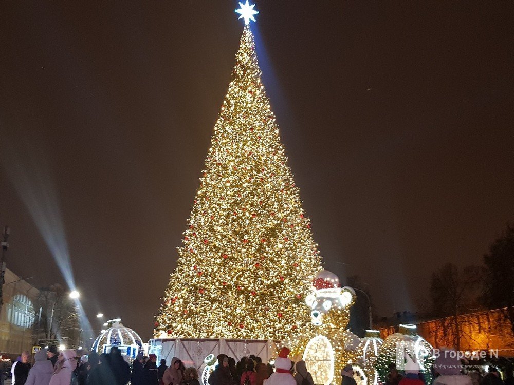 Стало известно, где в Нижнем Новгороде установят новогодние елки - фото 1