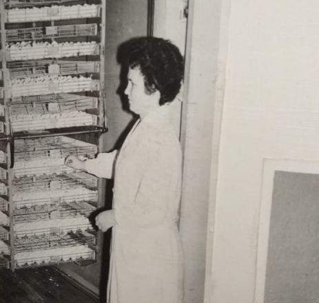 Архивные фото Павловской птицефабрики показали нижегородцам - фото 2