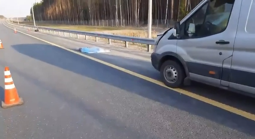 Водитель иномарки погиб в ДТП на трассе М-12 в Нижегородской области - фото 1