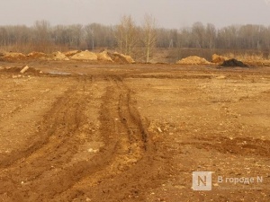 Артемовские луга планируют присоединить к Нижнему Новгороду для создания природного парка