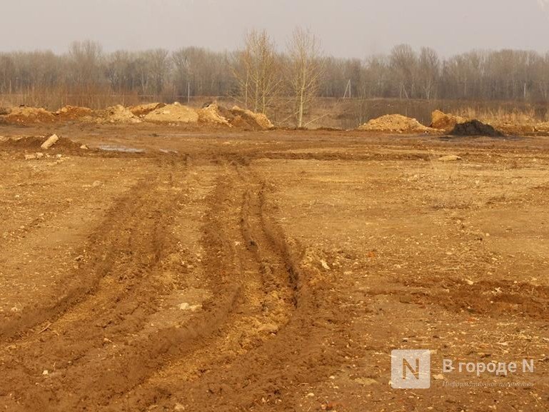 Артемовские луга планируют присоединить к Нижнему Новгороду для создания природного парка - фото 1