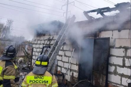 200 собак погибли на пожаре в Нижнем Новгороде