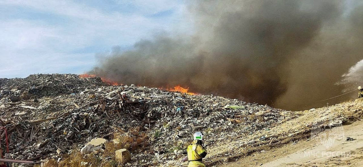 Нижегородцам напомнили о страшных пожарах на мусорных полигонах - фото 1