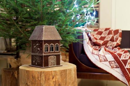 Ваш дом &mdash; лекарство: как сезонные ритмы влияют на гормоны, нервную систему и отношения в семье