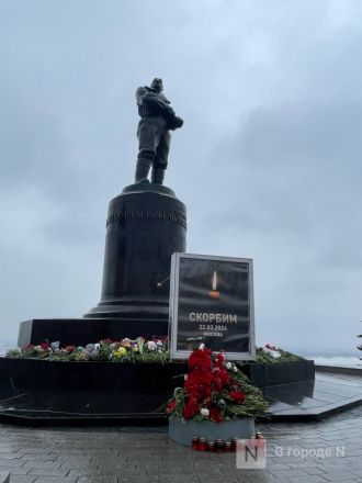 Нижегородцы несут цветы к мемориалу после теракта - фото 8