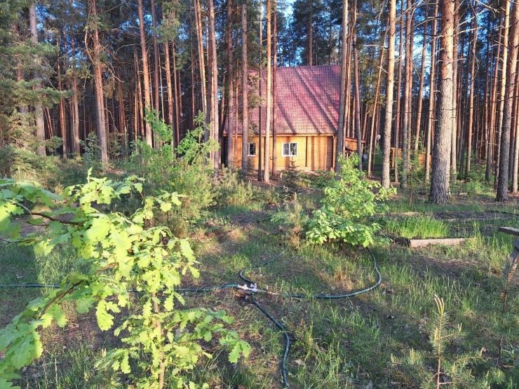 Живописный лесной участок у реки выставлен на продажу в Нижегородской области - фото 2