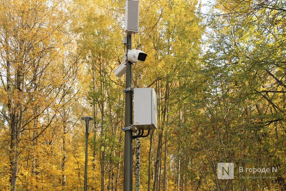 Нижегородская область входит в топ-5 по видеомониторингу лесных массивов - фото 1