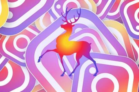 Instaвласти: члены нижегородского правительства обзавелись аккаунтами в соцсети вслед за губернатором