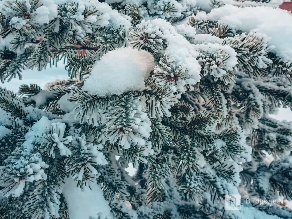 ЧС возможны в Нижегородской области 5 февраля из-за мокрого снега - фото 1