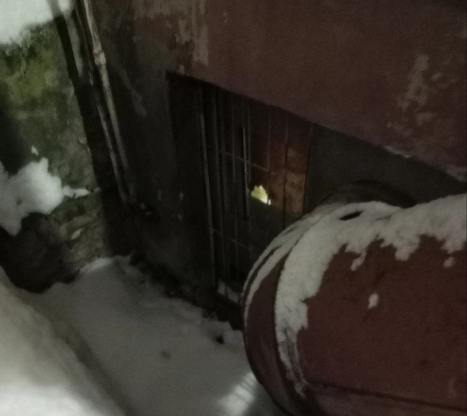 Котенка, застрявшего между окном и стеной дома, пытаются спасти в Ленинском районе - фото 1