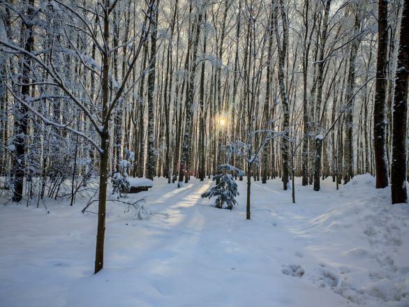 Аномальные морозы в Нижнем Новгороде: фоторепортаж из заснеженных парков - фото 12