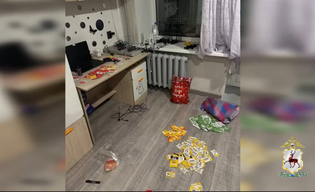 Силовики накрыли криминальную телефонную станцию в Нижнем Новгороде - фото 1