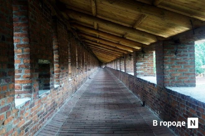 Самый теплый тренд: каким был и чем жил Нижний Новгород в 2016 году - фото 15